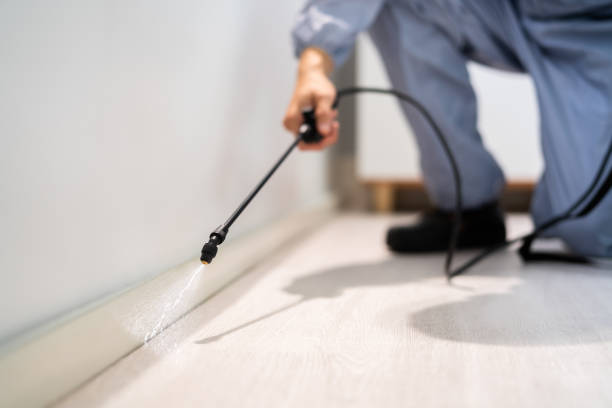 Professional exterminator conducting IPM assessment in Mount Olive